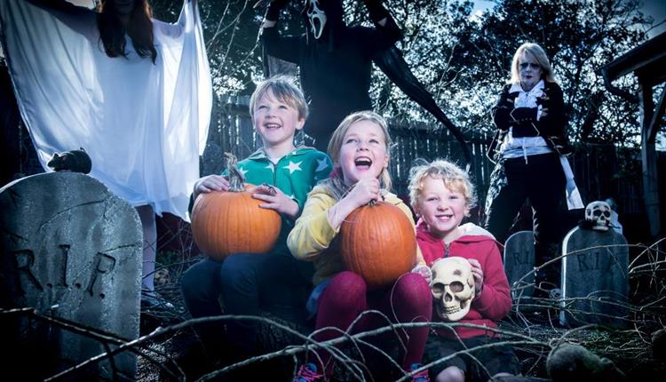 Halloween at Camel Creek