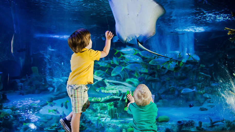 Blue Reef Aquarium Newquay